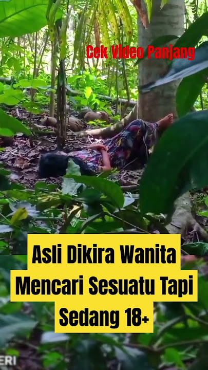 PENAMPAKAN