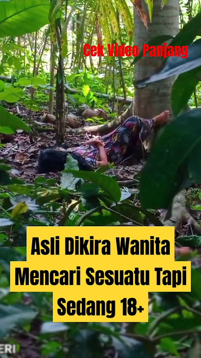 PENAMPAKAN