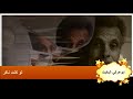 ابوعركي البخيت لو كنت ناكر