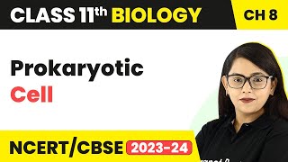 Prokaryotic Cell - Cell: The Unit of Life | Class 11 Biology