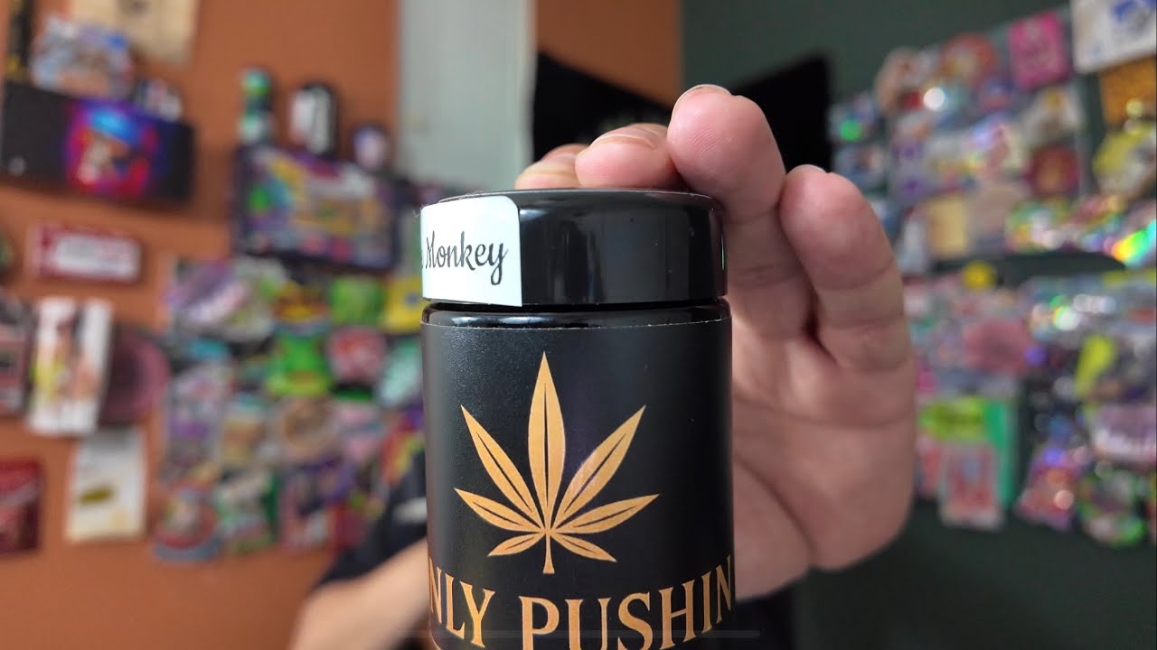 Grease Monkey Review: Chemdawg x Gelato 41 x Face Off OG