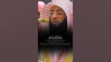مِّنَ ٱلۡمُؤۡمِنِينَ رِجَالٞ صَدَقُواْ - تلاوة هادئة ماتعة للشيخ #بدر_التركي