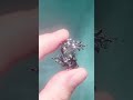 Pear Shaped Moss Agate Engagement Ring Set | Black Gold Moss Agate Wedding Band | Anniversary Gift
