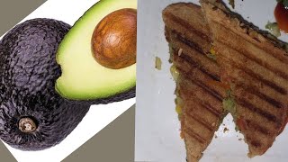 Avocado sandwich  ( Healthy  snack)