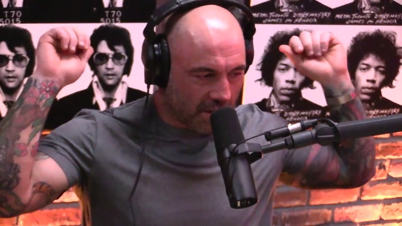 Joe Rogan & Dennis McKenna on the Myth of the Gateway Drug