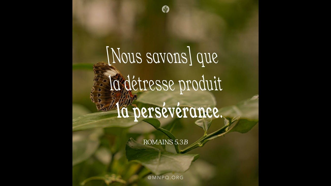 La victoire dans l’épreuve