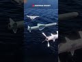 Arleigh Burke Flight III Destroyer 😳 Most Powerful Warship Explained#shorts