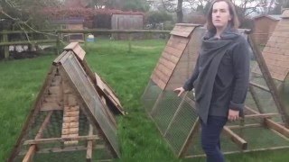 An introduction to our popular Dell ark shaped chicken house and run. It is made in 3 sizes to accommodate between 2 - 12 hens. 