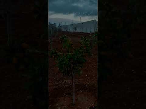 روح الأبوة تحمينا من الكبر الابناء الأب