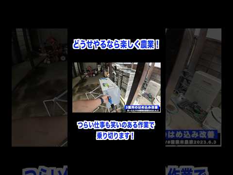 お米作り総集編 #農業 #兼業農家 #お米作り #トラクター #コンバイン