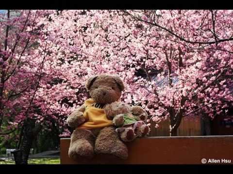 เพลงฟ้าคงมีเหตุผล.wmv