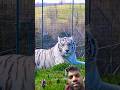 6 Most Expensive Animals in the World #facts #animals #wildlife #viralvideo