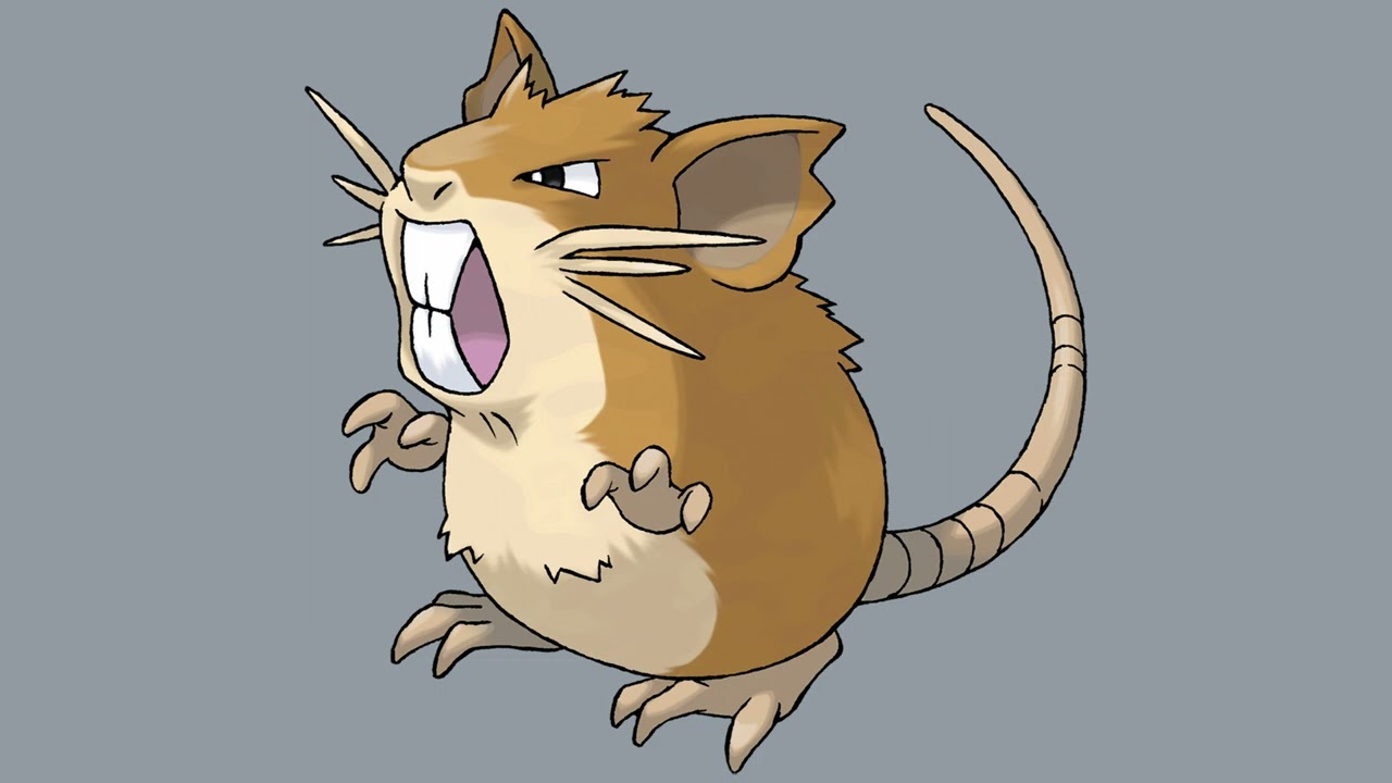 Raticate's cry - Pokèmon