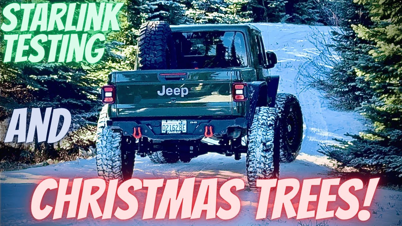 Прогулка за рождественской елкой и тестирование Starlink 