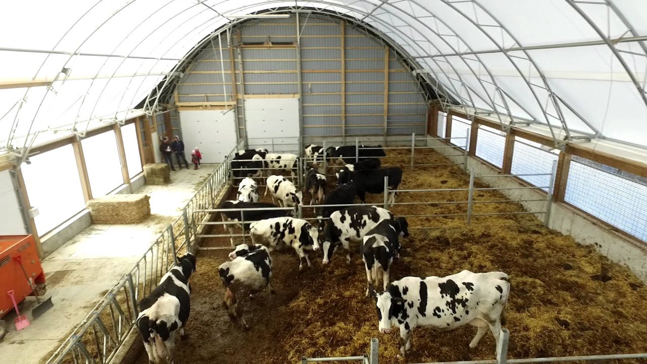 Drost Family Dairy Farm 50 X 100 Atlas Building Series Heifer Barn Youtube