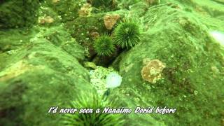 GUE-BC Howe Sound Diving 2015