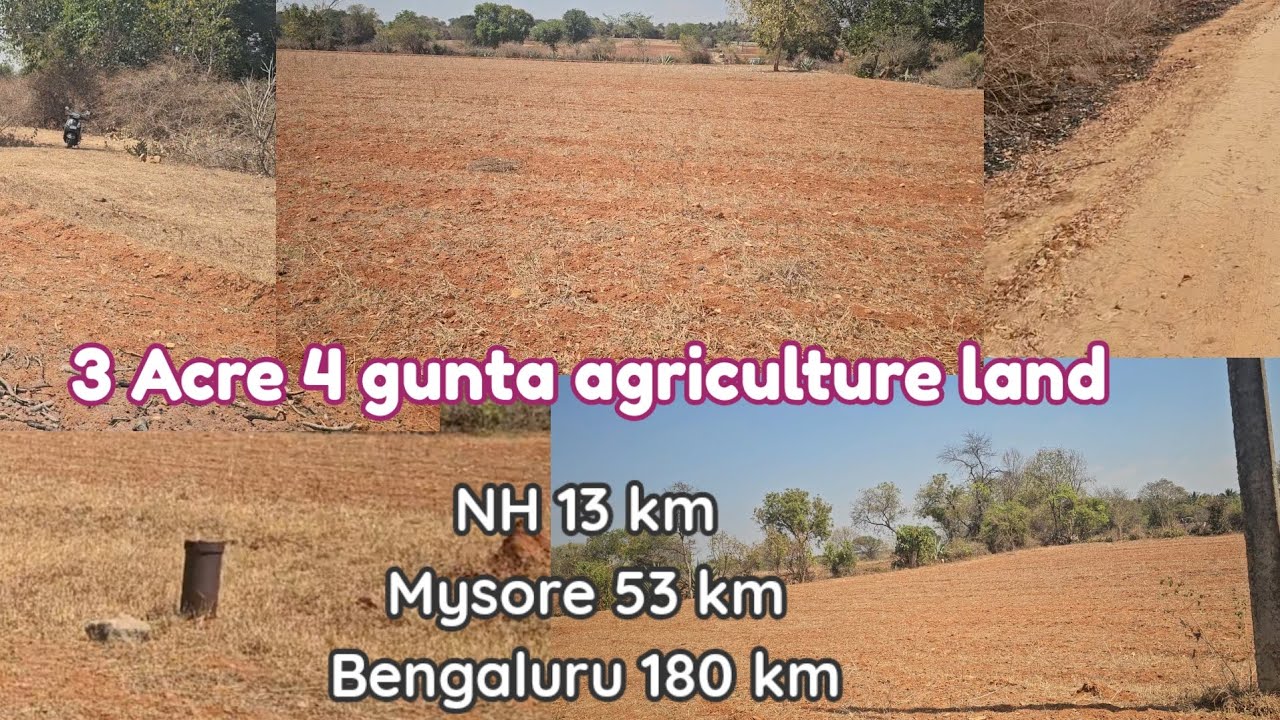 3 acre agri land for sale red soil village 1km NH 13km Mysore 53 km Bengaluru 180 km call 9845736390