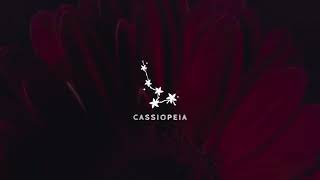 Camelia Cabello - Senorita
