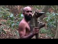 Building a Primitive Stone Cave Shelter | Cutting a Tree with Stone Axe – Survival Skills