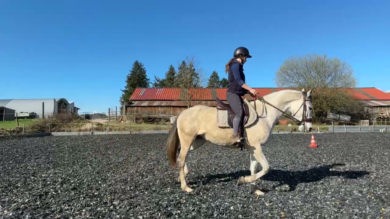 2026-03-01 Hypothèse Valdieu étho