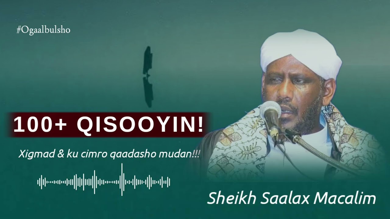 100+ Qisooyin Xigmad iyo Ku Cibro qaadasho mudan || Sh Saalax Macalim 