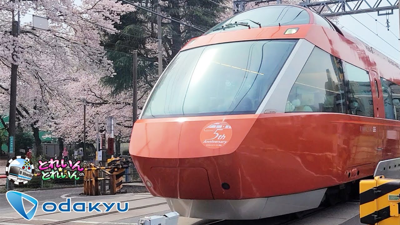 【電車 子供】桜と小田急線【ロマンスカー 特急 ふみきり さくら カンカン 子供向け】