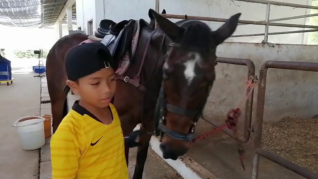 Learn Canter in Horse Riding Class at Putrajaya Equestrian Park (TEP)