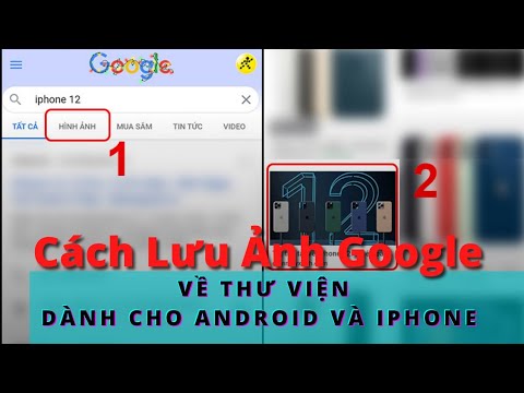 {HƯỚNG DẪN} Cách Tải Ảnh Từ Google Về Bộ Sưu Tập Dành Cho Điện Thoại Android Và Iphone