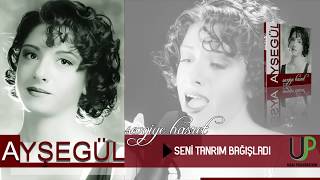 AYŞEGÜL - TANRIM SENİ BAĞIŞLADI [] Resimi