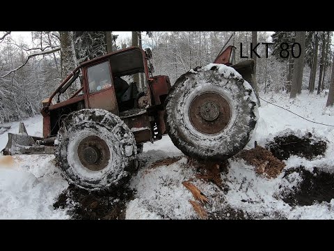 LKT 80 Fail/Stihl MS 500i Big Tree