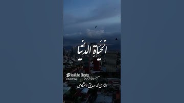 "لحظات خشوع مع الشيخ المنشاوي | تلاوة قصيرة تبعث السكينة"
