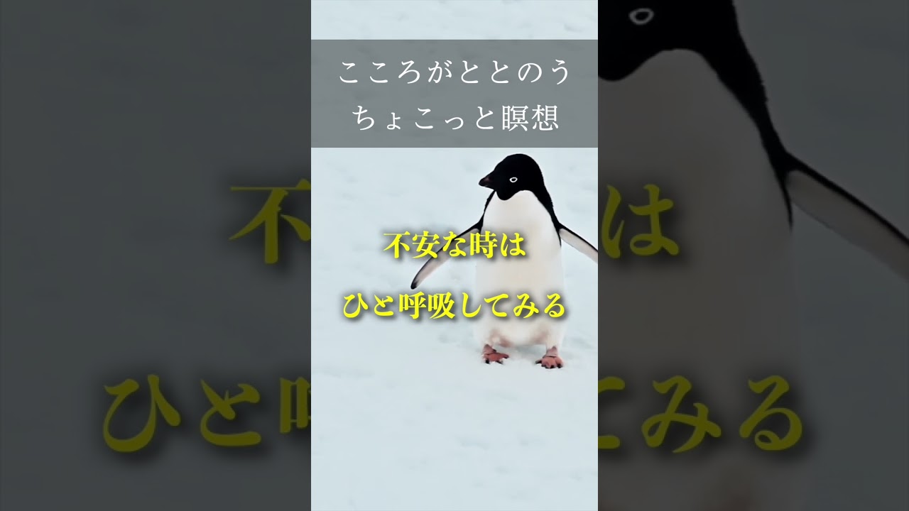 【心を整える瞑想のヒント】不安をひと呼吸でしずめる マインドフルネス リラックス ストレス解消 #shorts