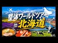 整体日本ツアー ニセコ編