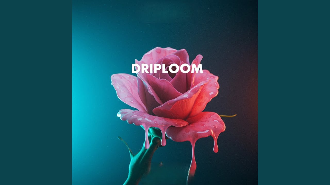 DRIPLOOM