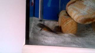 VID-20120321-00003.MP4