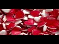 Chemo Siyvarulo ჩემო სიყვარულო My Love Моя любовь 