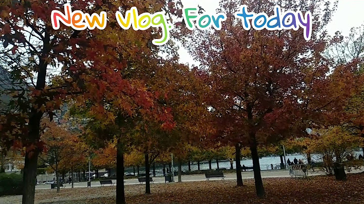 Autumn 🍂 Sunday/ Como lake & Activities/ Date con mio marito