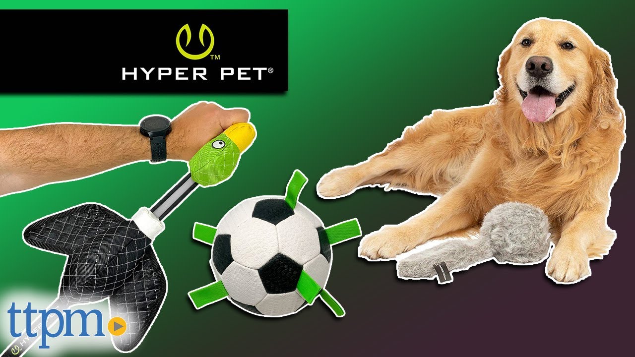Hyper Pet Doggie Tail Interactive Plush Dog Toys (Wiggles, Vibrates & Barks Dog  Toys for Boredom & Stimulating Play) Interactive Dog Toys, Dog Squeaky Toys,  and Funny Dog Toys - Colors May