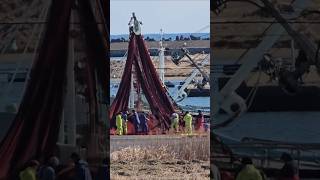 UMI GEEN EKI. KUJUUKURI