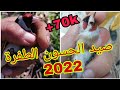 صيد الحسون (أم قنين) في البرية أحسن صيد حسون  ستراه على الإطلاق 🔥🐦🐦