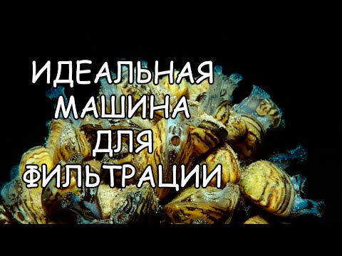 ИДЕАЛЬНАЯ МАШИНА ДЛЯ КРИСТАЛЬНО ЧИСТОЙ ВОДЫ