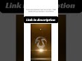 Professional Animated Logo Intro & Outro | High Quality 3D Logo Animation | Fast Delivery