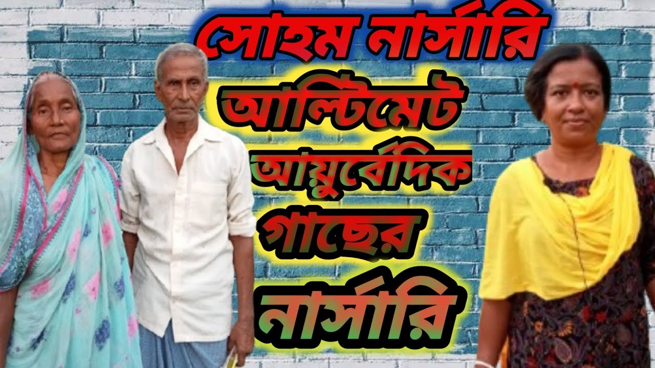 🌳🌳 // জিরাটের ' সোহম নার্সারি ' চোখ ধাঁধানো আয়ুর্বেদিক গাছের স্টক // মেডিসিনাল প্ল্যান্ট // 🌳🌳