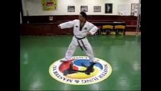 Master Jung - Red Belt Ten Basic Motions
