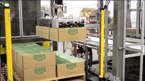 Massman Automation Gantry Palletizer for Cases of Frozen Product.mov