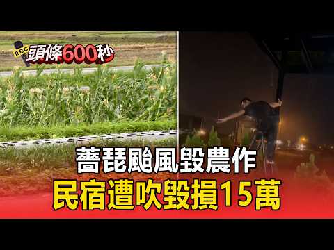 Devastation in Yilan! Typhoon Malou Destroys Crops and Causes $150,000 in Damage to B&Bs [Headlin...