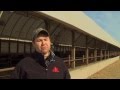 Calving Under Roof: Building Design Calving Under Roof: Building Design