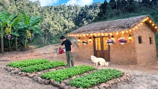 Download Lagu A young CEO’s wild challenge: growing vegetables in forest, living a self-sufficient lifestyle MP3