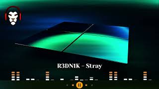 Details R3DN1K - Stray Update