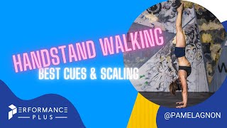 Handstand Walking, Cues & Scaling